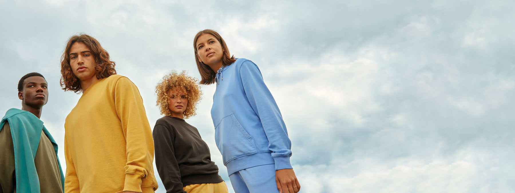 Discover the collection