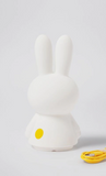 MIFFY SHINES