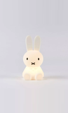 MIFFY® BUNDLE OF LIGHT LAMP