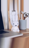 MIFFY® BUNDLE OF LIGHT LAMP