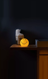 SMILEY® BUNDLE OF LIGHT LAMP